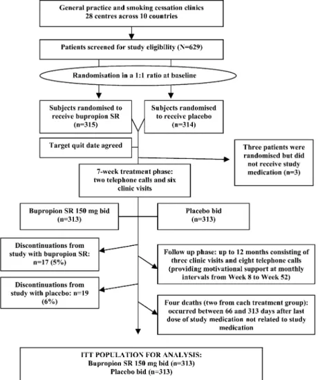 Fig. 1 Participant flow diagram.