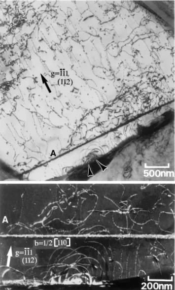 FIG. 11. Deformed microstructure observed at the onset of minimum creep rate from a grain with tensile axis [112] (s ­ 340 MPa, e ­ 2.6%).