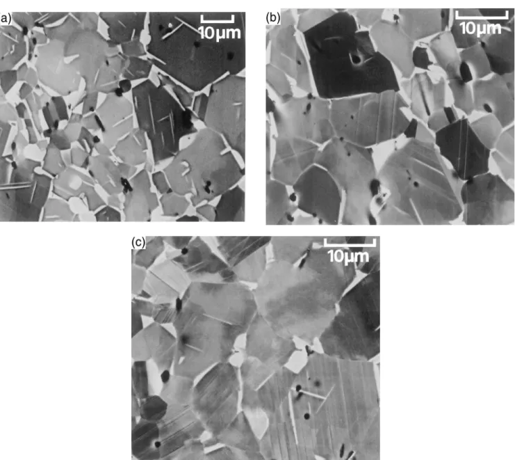 FIG. 13. Examples of microstructures observed by crystallographic contrast in the SEM