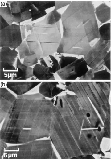 FIG. 14. Comparison of the different twinning intensity (twin thickness and separation between twinned layers) observed after 2.6% creep strain under two different stresses: (a) 260 MPa and ( b) 340 MPa.