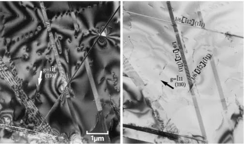 FIG. 4. Example of multiple twinning observed after 0.8% creep strain under 260 MPa.