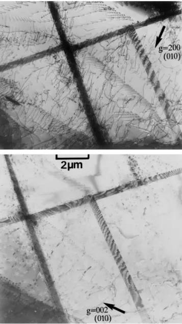 FIG. 6. Typical microstructure observed after 0.8% creep strain under 340 MPa from which Burgers vectors and line directions have been analyzed (see text for details).