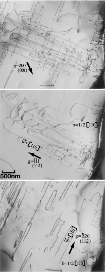 FIG. 7. Typical example of a grain with a tensile axis [001] and deformed by 1 y 2 k 110 l slip (see text for details)