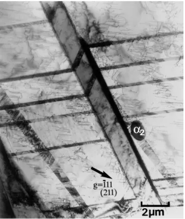 FIG. 9. Deformed microstructure observed after 1.5% creep strain under 340 MPa from a grain with a tensile axis [121] (see text for details).
