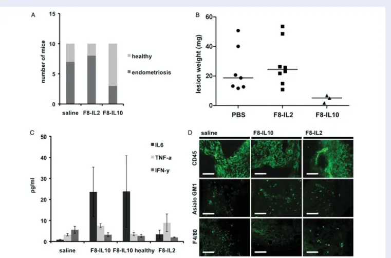 Figure 4 Therapy experiment with the two immunocytokines F8-IL10 and F8-IL2. Mice received three treatment injections of F8-IL2, F8-IL10 or saline (10 mice per group)