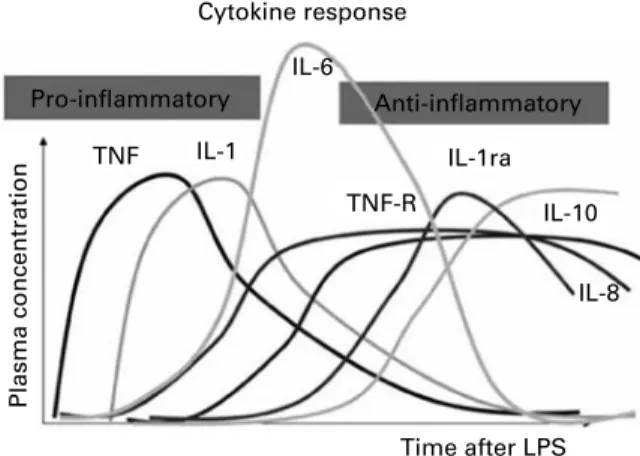 Fig. 4. The time course of plasma cytokine concentrations after an inflamma- inflamma-tory challenge (in this case a bolus intravenous injection of Escherichia coli lipopolysaccharide (LPS))