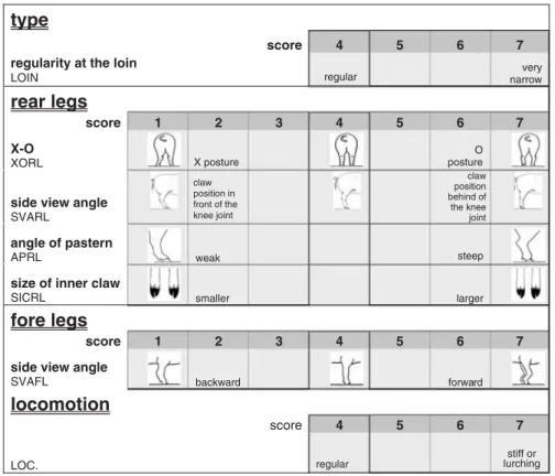 Table 2 presents the average fattening and carcass perfor- perfor-mance of the station-tested animals