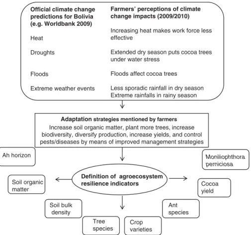 Figure 4. Transdisciplinary process for de ﬁ ning agroecosystem resilience indicators.