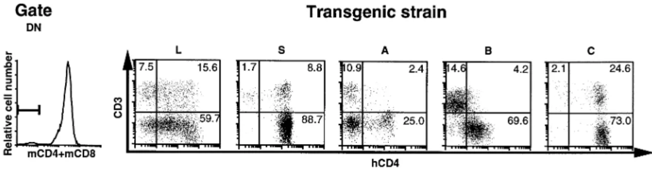 Fig. 2. Two-dimensional dot-plot for CD3 and human CD4 in DN gated thymocytes. The quadrants discriminate positive and negative cells.