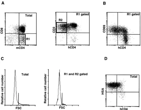 Fig. 7. Four-color analyses of CD4 1 CD8 int/– cells in the S strain. (A) Left panel, a dot-plot for CD4 and CD8 showing the gate used in this analysis; right panel, a dot-plot for hCD4 and CD3 in the CD4 1 CD8 int/– gated thymocytes