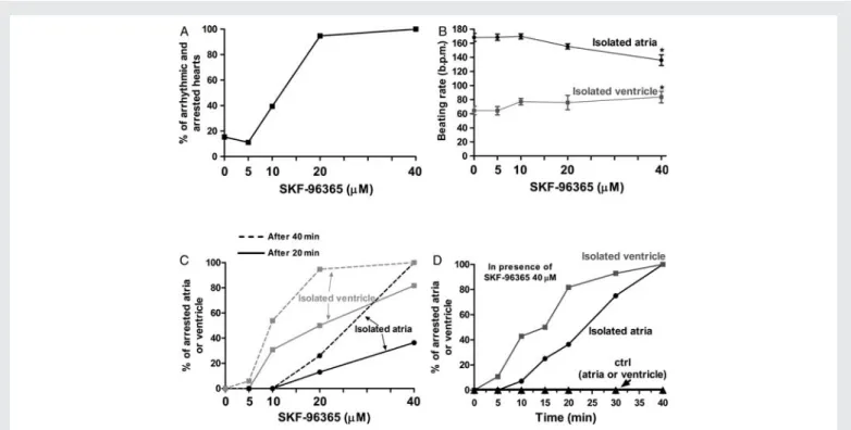 Figure 3A shows that atrial firing rate decreased by 62% after 20 min when SKF was combined with NIF compared with treatment with NIF or SKF alone suggesting a synergetic effect