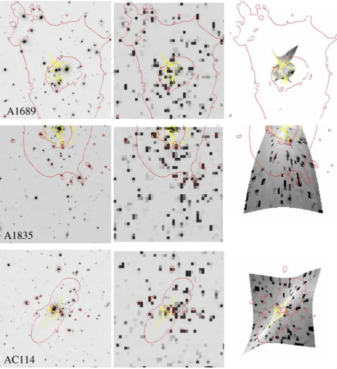 Figure 3. Grey-scale images demonstrating the processing applied to the two-dimensional sensitivity maps