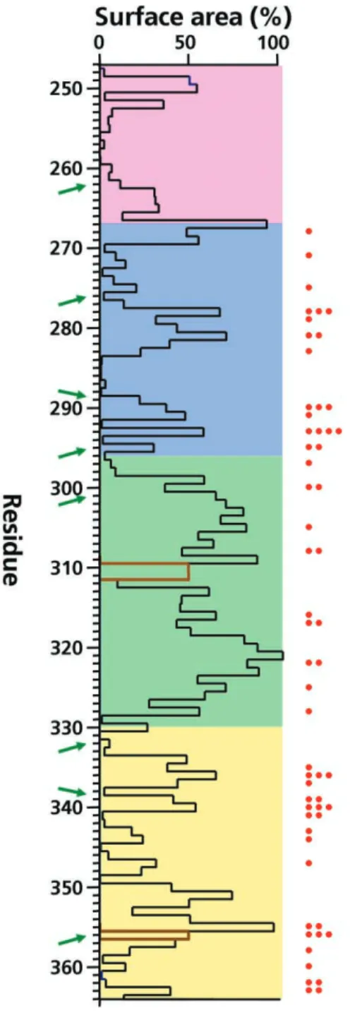 Figure 4. Surface accessibility. Shown is an overlay of relative solvent accessibility calculated for each amino acid of the 3-dimensional JR-FL envelope structure (black) and specific homologous sites within the  C2-V3-C3 region, in which significant posi