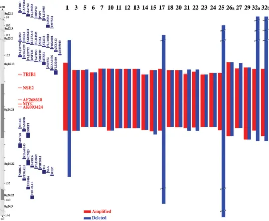 Figure 2. Sizes, as defined by FISH, of the amplifications (red) and deletions (blue) in the 23 cases with del(8)(q24q24)