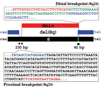 Figure 3. Sequences of the junctions of the amplicons in cases 2, 8, 18, 19 and 23 (A) and of the del(8)(q24q24) in case 18 (B)