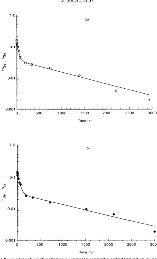 Fig. 4. Reconstituted modelling plasma kinetic curve obtained for a representative  subject from each group: (a) young  adult women,  (b) free-living  elderly women,  (c) institutionalized elderly women