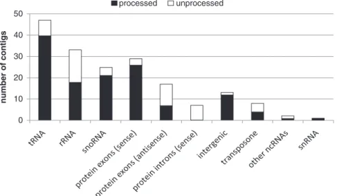 Figure 3. A summary of the genomic features identiﬁed in the ribosome-derived cDNA library