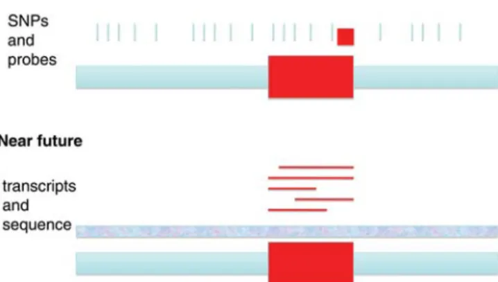 Figure 1. Current genome-wide studies make use of genetic variation and transcript abundance acquired from arrays