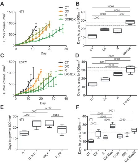 Figure 6.  The effect of anti-MMP14, radiation, and their combination on BC models. A-D) The combination of DX-2400 and radiation is modestly synergistic in the 4T1  tumor model and additive in the E0771 tumor model