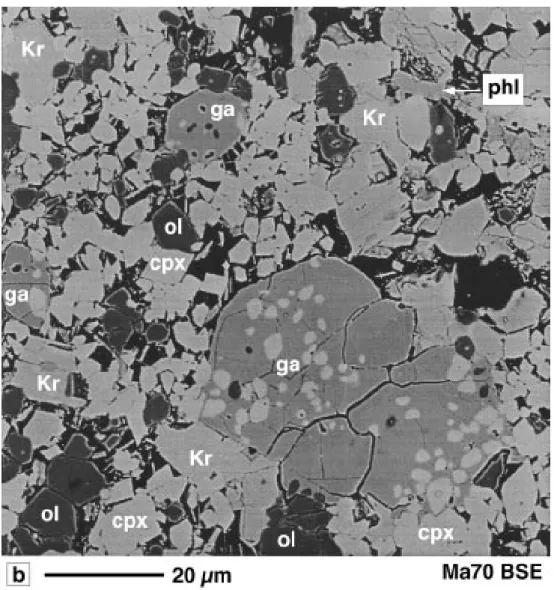 Fig. 3. Backscattered electron photomicrographs (a) of the assemblage K-richterite + phlogopite + clinopyroxene in run Ma42 (Kr-field I) and (b) of the assemblage K-richterite + garnet + phlogopite + clinopyroxene + olivine + quench in run Ma70 (Kr-field I