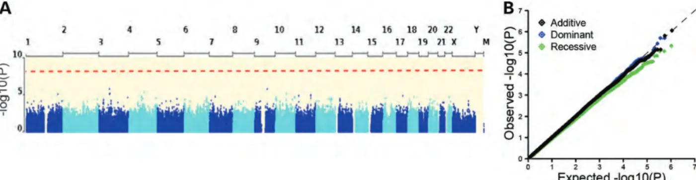 Figure 1. Logistic regression results. (A) Manhattan plot of association results from the additive model shows no significant association signal throughout the genome (the dotted red line indicates the significance threshold of 5E208)