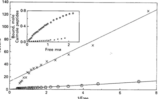 Fig. 1. Klotz plots and binding isotherms of Ca 2+  to CPP (O) and DPP (X) at pH 6-5, 25 °C and an ionic strength of 01 M (KC'l)