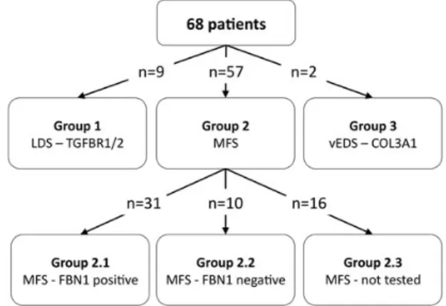 Figure 1: Allocation of patients to Groups 1–3.