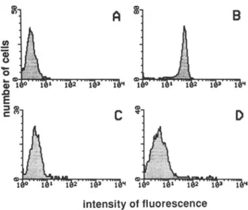 Figure 1. Effects of recombinant bactericidal/permeability in- in-creasing protein (rBPI 23) on LPS-binding protein-mediated  bind-ing of fluorescein-labeled Escherichia coli 0 I I I LPS by human  pe-ripheral blood mononuclear cells