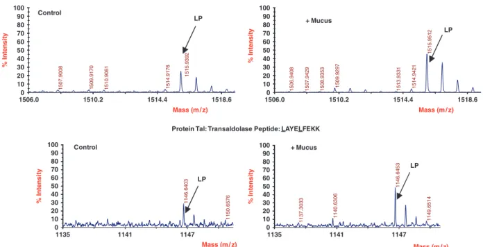 Fig. 1. 13 C 6 -leucine incorporation by Bifidobacterium longum NCIMB8809 in the presence and absence of mucus