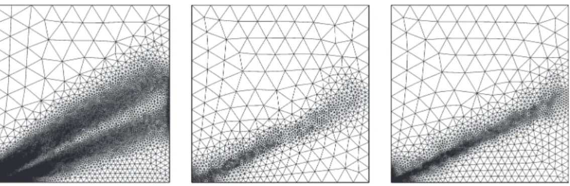 Figure 3 presents the adaptively refined meshes after five iterations of the above algorithm