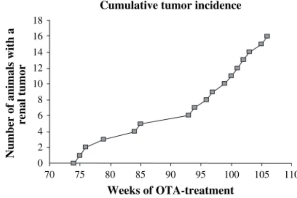 FIG. 1. Cumulative renal tumor incidence during the last quarter of live in rats given OTA-contaminated diet continuously for up to 2 years.