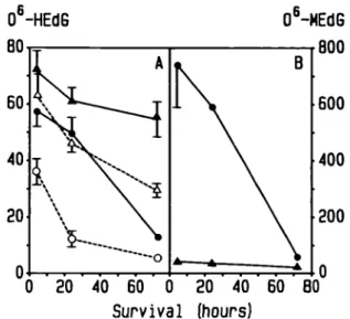 Fig. 4. Dose-dependent formation and concentration-dependent repair of O^-HEdG in liver  ( • ,O) and kidney (A,A) DNA