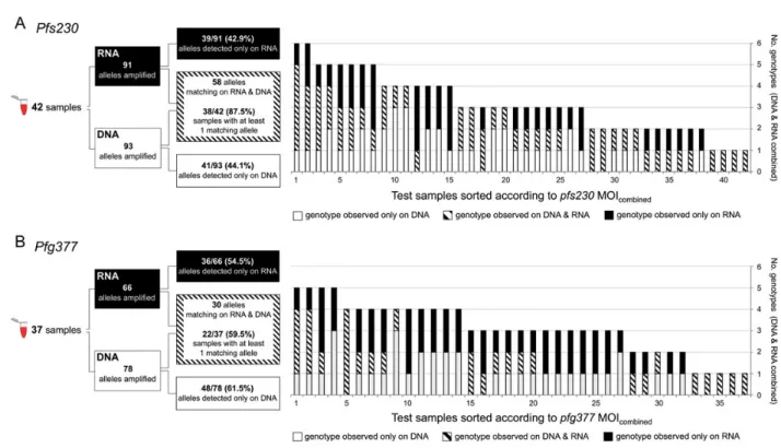 Figure 2. Schematic of analytical procedures (right panel) and overlap of genotypes detected simultaneously in RNA and DNA by blood sample (left panel)
