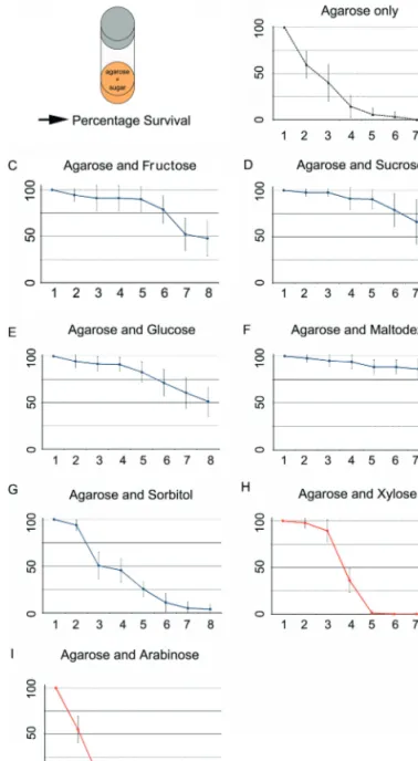 Figure 1  Larval survival on different sugar diets. A) A scheme of the  experimental setup