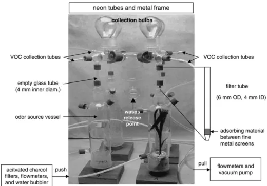 Figure 1 Picture and schematic representation of the four-arm olfactometer and the adsorbing ﬁlter tube.