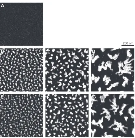Figure 7     SEM images of 25   μ  m-thin PEEK fi lms after 50 W oxygen plasma treatment with varying exposure time