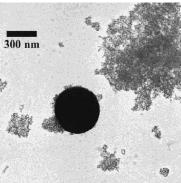 FIG. 1. TEM micrograph of FSP-made ceria prepared from Ce(ac) 3 in pure acetic acid. The powder consists of both large and very small particles.