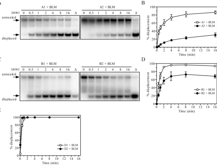 Figure 1. Effect of vinylphosphonate internucleotide linkages on helicase activity of BLM 642–1290 