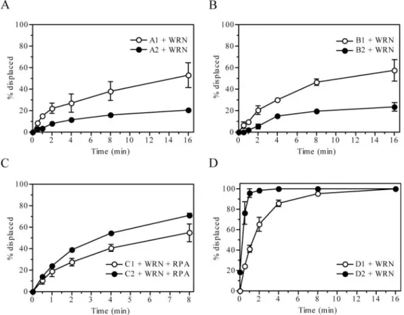 Figure 4. Effect of vinylphosphonate internucleotide linkages on helicase activity of WRN in the absence and the presence of RPA