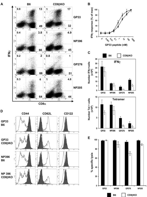 Fig. 1. CD8b KO mice mount efficient primary anti-LCMV response. (A) IFN-c production of CD8+ splenocytes pooled from four B6 and CD8b KO mice, respectively, on day 8 after LCMV infection was determined after ex vivo stimulation with 100 nM of indicated LC