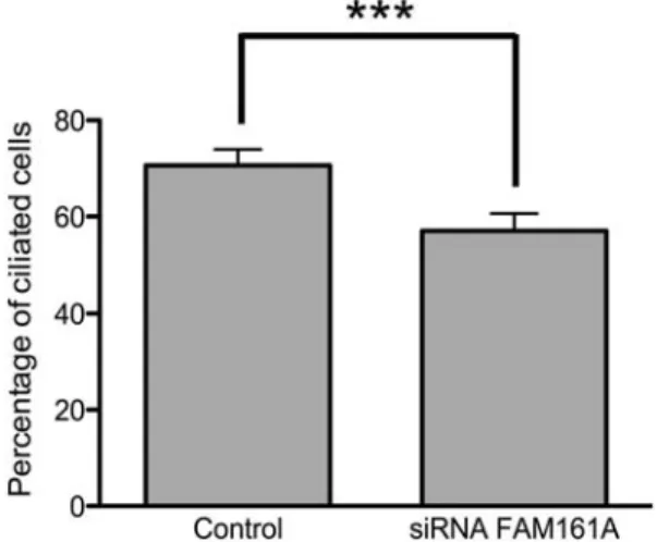 Figure 9. FAM161A knock down causes a reduction in the number of ciliated cells in hTERT-RPE-1 cell lines