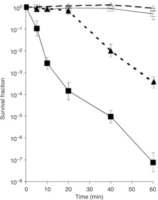 Fig. 1. Influence of solution composition on Escherichia coli culturability during illumination (intensity = 550 W m 2 ) in the presence of TiO 2 