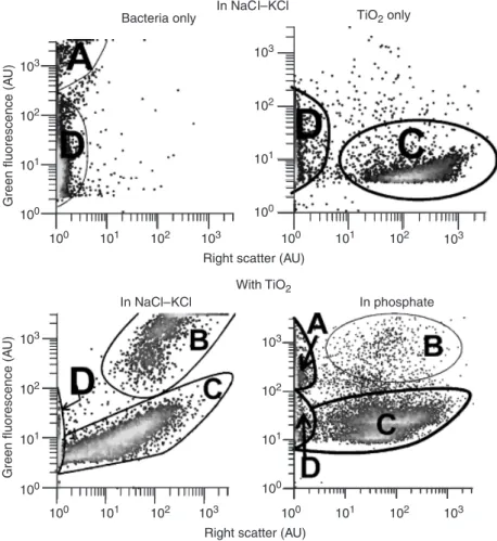 Fig. 3. Interaction between Escherichia coli and TiO 2 aggregates without illumination (t = 0 min):