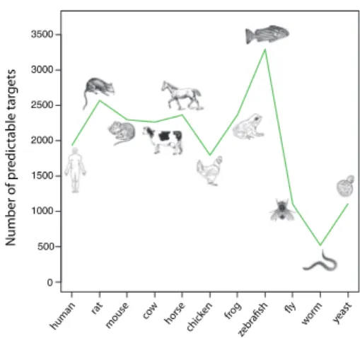 Fig. 5. Number of proteins that can be predicted as small molecule targets in different species using orthology relationships from known human, rat, mouse and cow protein targets
