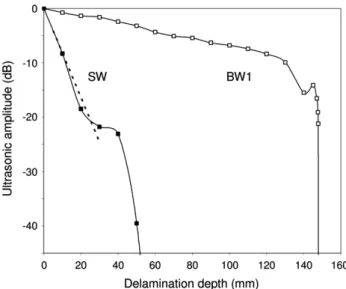 Figure 9 Results of numerical simulation of wave propagation. 