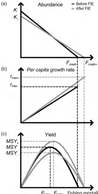 Figure 6. Potential effects of ﬁsheries-induced evolution (FIE) on reference points based on production models