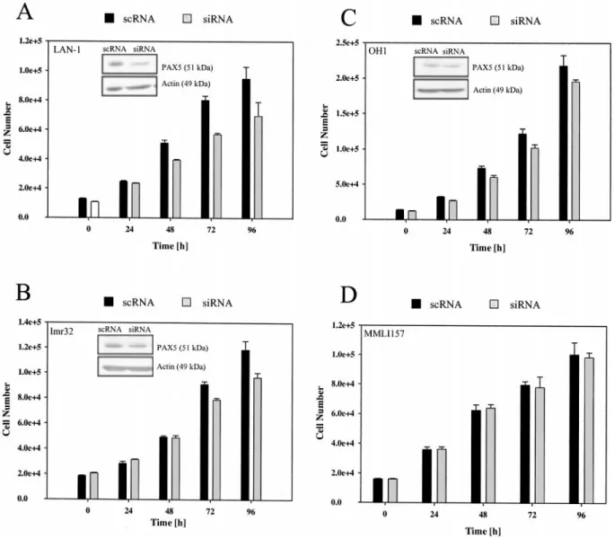Fig. 6. Down-regulation of PAX5 expression in N-type neuroblastoma and SCLC cell lines leads to a reduced growth rate