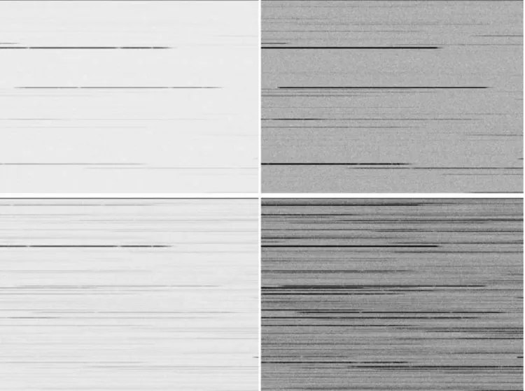 Figure 4. Simulated Gaia-RVS images for high Galactic latitudes (top) and | b |  5 ◦ (bottom), in linear scale (left) and in ‘thresholded’ linear scale (right).