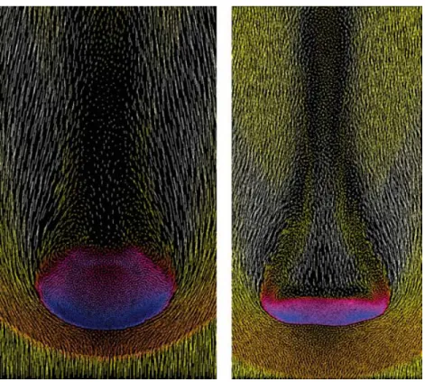 Figure 5. A thin central slice of the SPH particles of GAS 10 M at t = 0.75 τ KH (left-hand panel) and t = 1.5τ KH (right-hand panel)