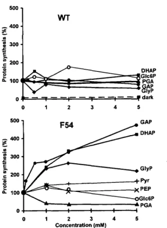 Fig. 3 Effect of increasing ATP and EDTA concentrations on in organello [ 35 S]methionine incorporation into the Dl protein by WT-chloroplasts and FJ4-chloroplasts